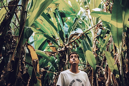 man wearing white top surrounded by banana trees thumbnail