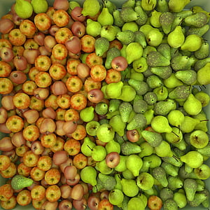 pile of pear and apples thumbnail
