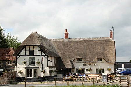 person standing in front of The Red Lion building at daytime thumbnail