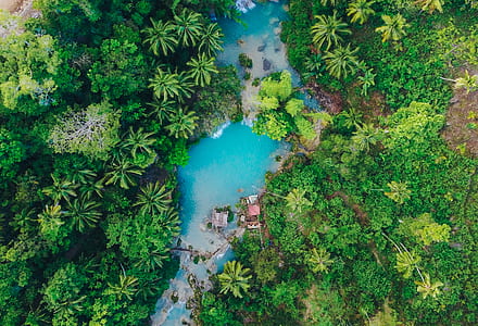 aerial view of island thumbnail