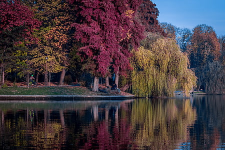 person cycling near trees and body of water thumbnail