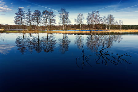 light, sea, dawn, landscape thumbnail