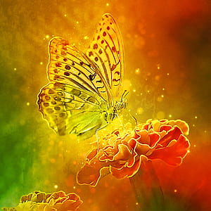 fritillary butterfly perched on red flower illustration thumbnail