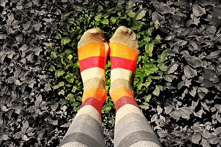 selective focus photography of socks on green grass field thumbnail