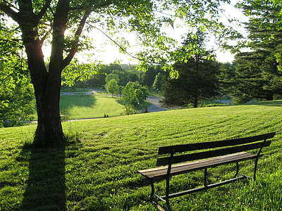 black wooden bench on green grass field thumbnail