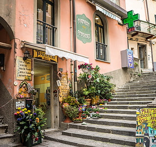 concrete stairs beside house with potted plants thumbnail