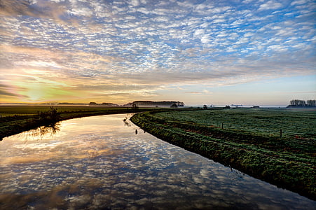 gress grass near body of water during golden hour thumbnail