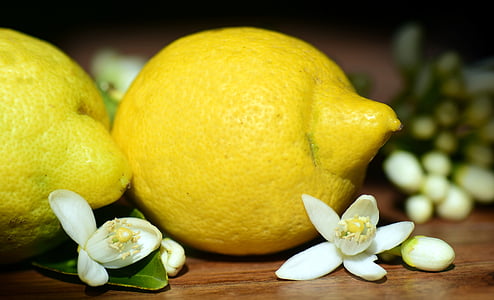 yellow fruit thumbnail