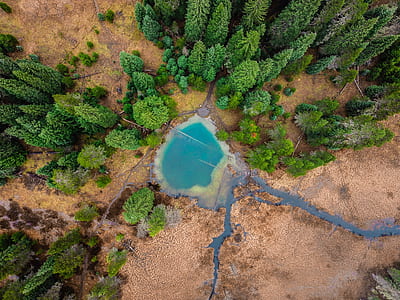 aerial view of trees and lagoon thumbnail