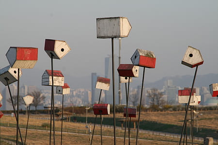 red-and-white birdhouse on green field thumbnail