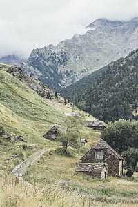 brown bricked house near green trees thumbnail