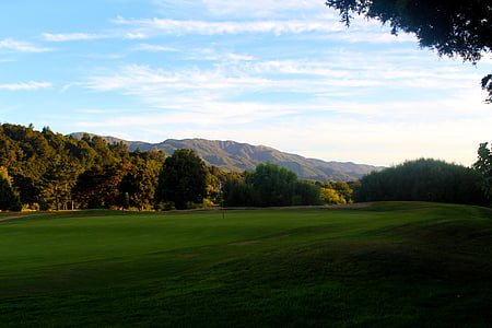 golf field surrounded by forest at daytime thumbnail