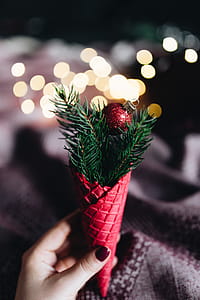 Burgundy Christmas Decorations thumbnail