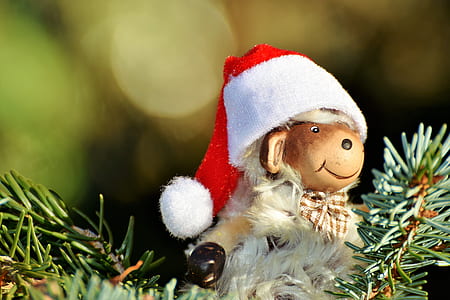 animal wearing Santa Claus hat ornament thumbnail