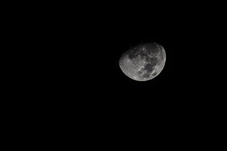 black-and-white, dark, moon, moonlight, night thumbnail