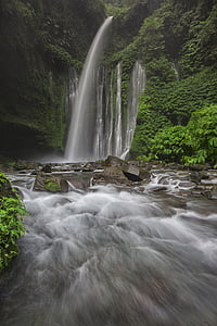 waterfalls in forest during daytime thumbnail