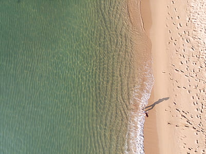 person walking on sea shore thumbnail