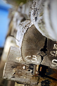 brown wood logs under blue sky thumbnail