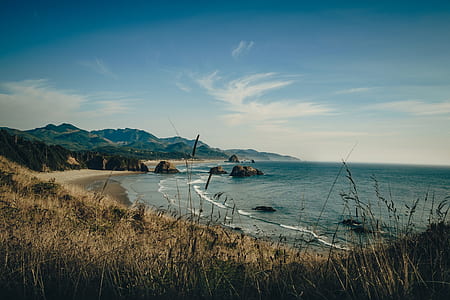 brown grass field near shoreline during daytime thumbnail