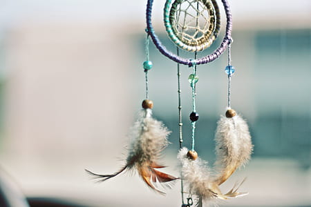 shallow focus photography of purple and brown dream catcher decor thumbnail