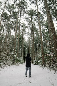 person standing beside tree with snow thumbnail