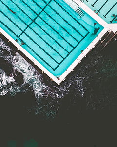 bird's eye photography of people swimming on pool thumbnail