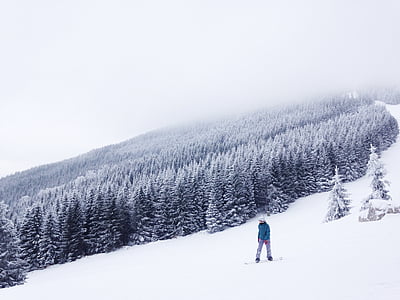 man snowboarding near trees covered with snow thumbnail