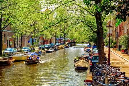 boats on body of water during daytime thumbnail