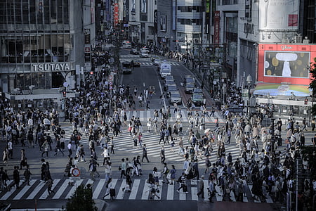 people walking on concrete road near buildings thumbnail
