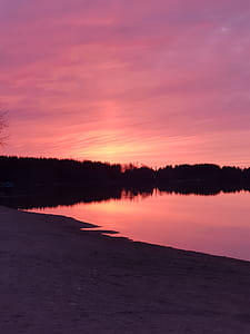 Silhouette of Trees during Sunset thumbnail