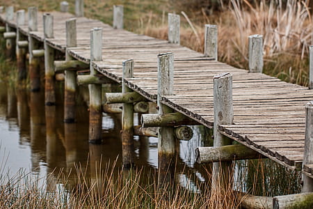 brown wooden dock on water at daytime thumbnail