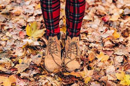 Person Wearing Brown Timberland Work Boots thumbnail