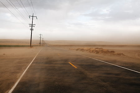 one point perspective photo of road thumbnail