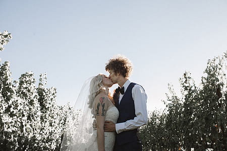 groom and bride kissing in between grass field under blue sky at daytime thumbnail