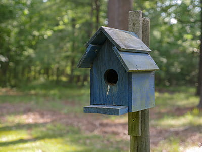 Closeup shot of a blue birdhouse thumbnail