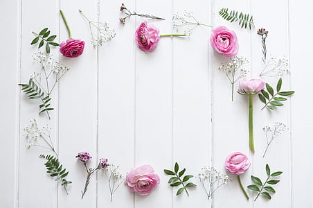 pink roses on white surface thumbnail