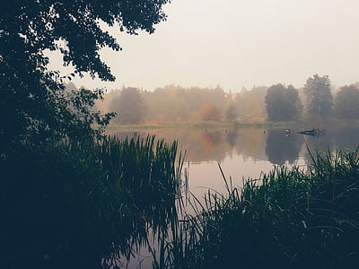 calm lake during daytime thumbnail