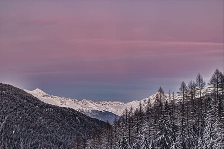 landscape photography of pine trees and mountains covered with snow thumbnail