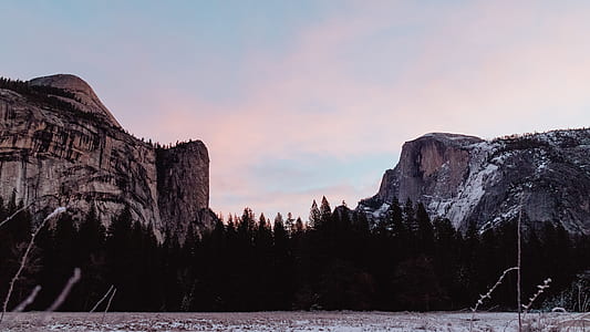 trees near mountains thumbnail