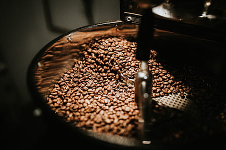 Shallow Focus Photo of Coffee Beans thumbnail