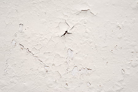 white painted wall thumbnail