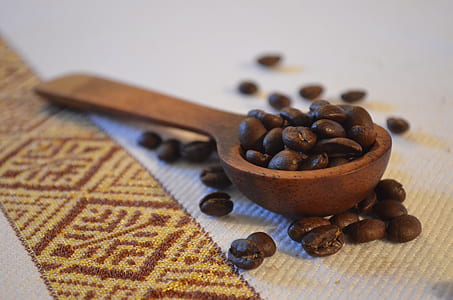 tilt-shift lens photo of coffee beans on spoon thumbnail