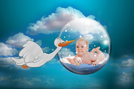 baby inside of bubble beside stork illustration thumbnail