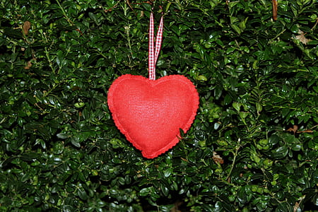 red heart pillow pendant on green grass thumbnail