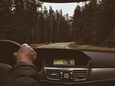 empty road between trees thumbnail