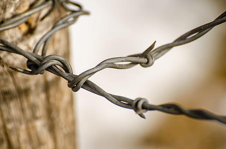 close-up photo of gray barb wire thumbnail