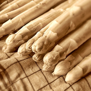 selective focus photo of a sticks thumbnail