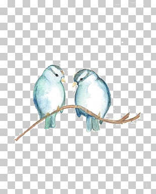 Bird Watercolor painting Sparrow Blue, Birds, two gray birds perching on branch illustration PNG clipart