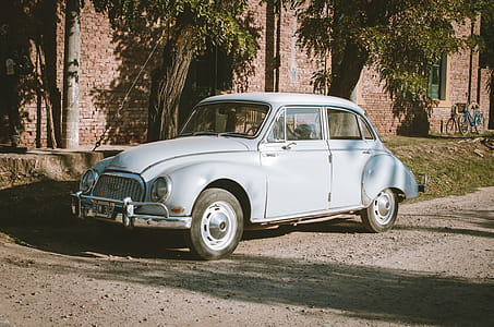 Classic Blue Sedan Near Green Leaf Trees at Daytime thumbnail