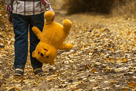 boy holding yellow bear plush toy thumbnail